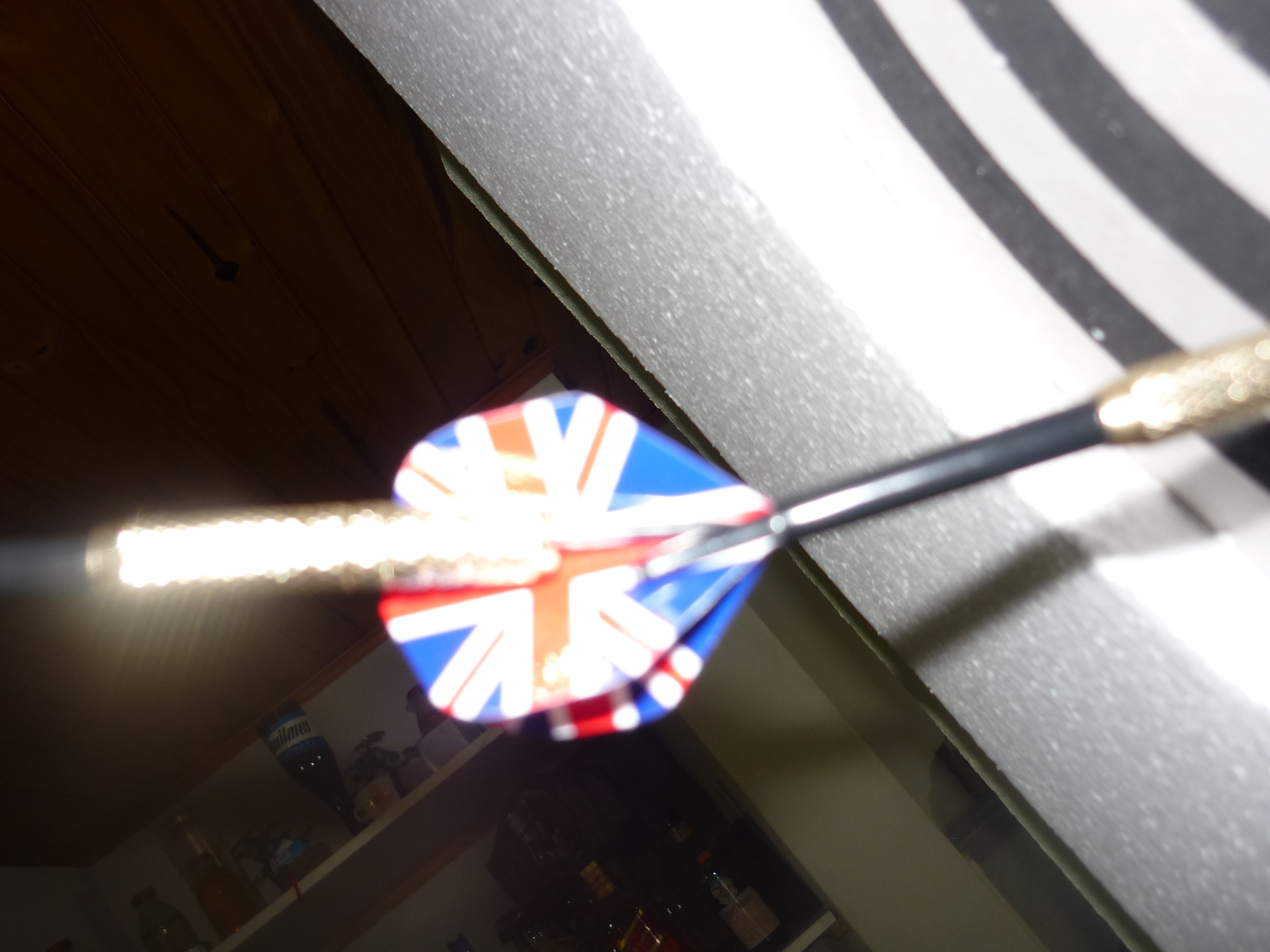 fotos/2011-09-24 - Peña Carlos Bondiolas/P1020250.JPG